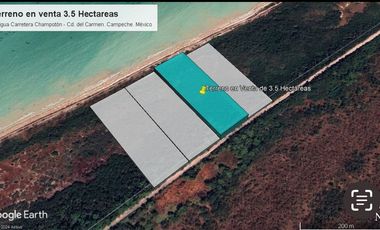 Terreno frente al mar en Champotón Campeche, 100 ML,  listo para escriturar
