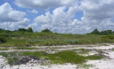 Terreno frente al mar en Champotón Campeche, 100 ML,  listo para escriturar