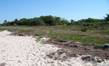 Terreno frente al mar en Champotón Campeche, 100 ML,  listo para escriturar