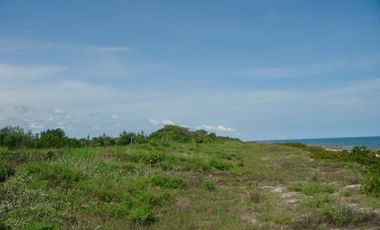 Terreno frente al mar en Champotón Campeche, 100 ML,  listo para escriturar