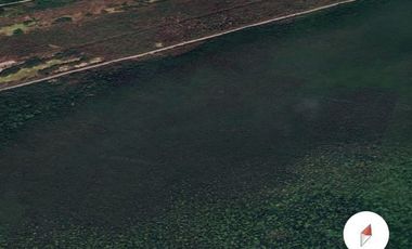 Terreno frente al mar en Champotón Campeche, 100 ML,  listo para escriturar