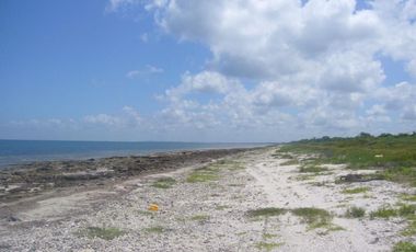 Terreno frente al mar en Champotón Campeche, 100 ML,  listo para escriturar