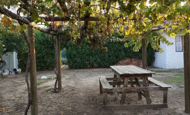 HERMOSA CASA CON PISCINA EN PARCELA DE AGRADO CON ARBOLES FRUTALES PAINE