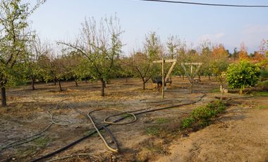 HERMOSA CASA CON PISCINA EN PARCELA DE AGRADO CON ARBOLES FRUTALES PAINE