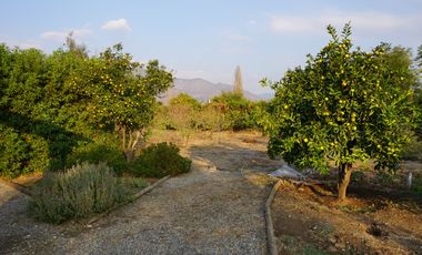 HERMOSA CASA CON PISCINA EN PARCELA DE AGRADO CON ARBOLES FRUTALES PAINE