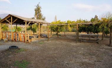 HERMOSA CASA CON PISCINA EN PARCELA DE AGRADO CON ARBOLES FRUTALES PAINE