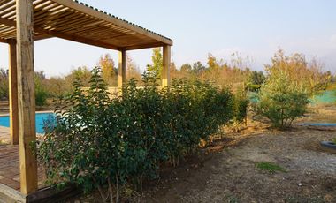 HERMOSA CASA CON PISCINA EN PARCELA DE AGRADO CON ARBOLES FRUTALES PAINE