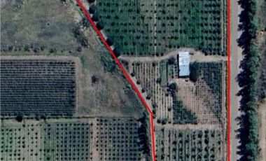 Finca con casas y producción