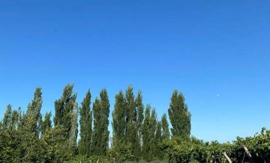 Finca con casas y producción