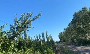 Finca con casas y producción