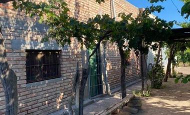 Finca con casas y producción