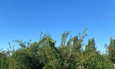 Finca con casas y producción