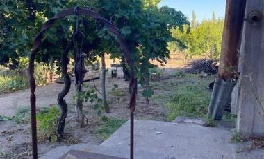 Finca con casas y producción