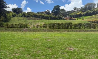 Lote en El Carmen de Viboral vereda Samaria [cm]