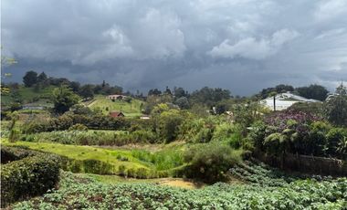 Lote en El Carmen de Viboral vereda Samaria [cm]