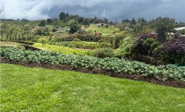 Lote en El Carmen de Viboral vereda Samaria [cm]