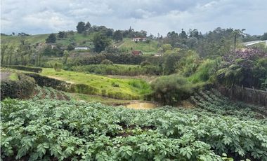 Lote en El Carmen de Viboral vereda Samaria [cm]