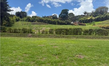 Lote en El Carmen de Viboral vereda Samaria [cm]