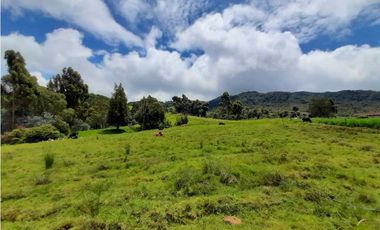 Venta de Finca de Gran extensión cerca de la Union