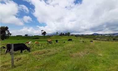 Venta de Finca de Gran extensión cerca de la Union