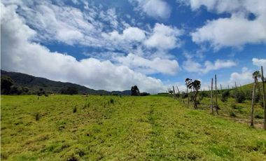 Venta de Finca de Gran extensión cerca de la Union