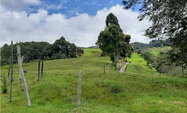 Venta de Finca de Gran extensión cerca de la Union