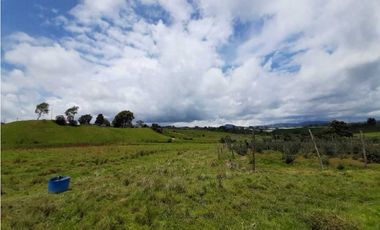 Venta de Finca de Gran extensión cerca de la Union