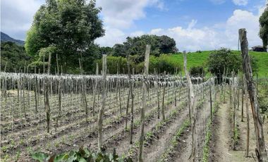 Venta de Finca de Gran extensión cerca de la Union