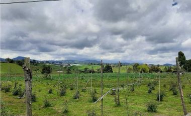 Venta de Finca de Gran extensión cerca de la Union