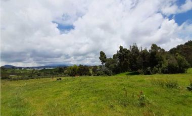 Venta de Finca de Gran extensión cerca de la Union