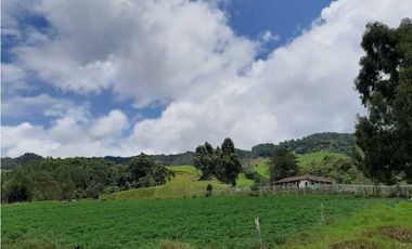 Venta de Finca de Gran extensión cerca de la Union
