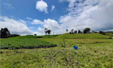 Venta de Finca de Gran extensión cerca de la Union
