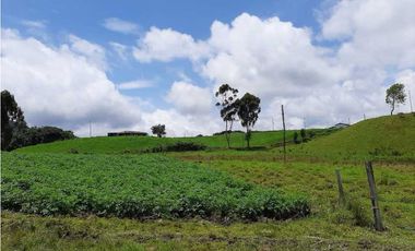 Venta de Finca de Gran extensión cerca de la Union