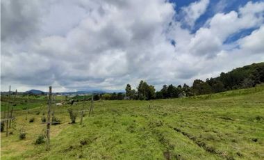 Venta de Finca de Gran extensión cerca de la Union