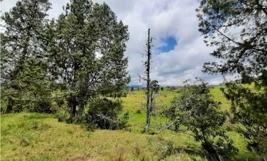 Venta de Finca de Gran extensión cerca de la Union