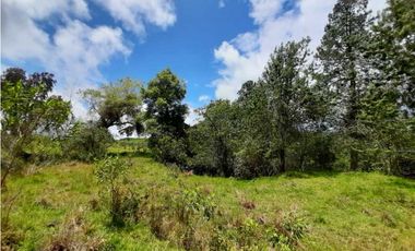 Venta de Finca de Gran extensión cerca de la Union