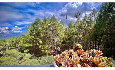 Venta Apartamento Unidad Cerrada Sector Fizebad El Retiro