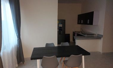 DEPARTAMENTO EN RENTA EN CIUDAD DEL CARMEN CAMPECHE