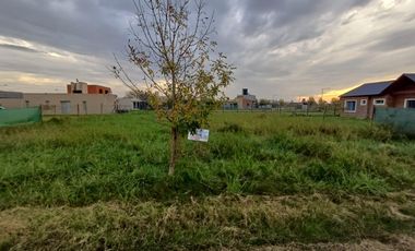 Venta - Terreno - Funes Norte