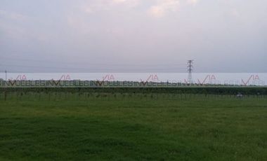 Libre Reynosa