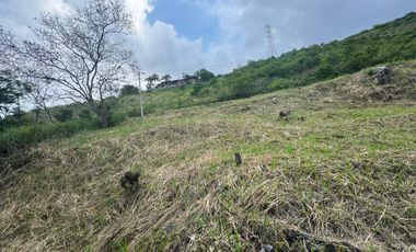 Se Vende Lote En Exclusiva Zona De Dapa
