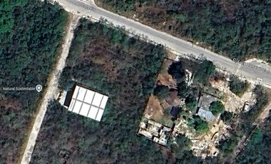Terreno de 2500 m2 en Puerto Morelos, Q.R.