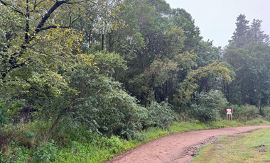 Exclusiva Fracción 7.965 m2 a metros Ruta E-53 ASCOCHINGA CBA