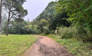 Exclusiva Fracción 7.965 m2 a metros Ruta E-53 ASCOCHINGA CBA