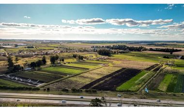 HECTAREAS(5)-SOBRE RUTA 88