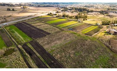 HECTAREAS(5)-SOBRE RUTA 88