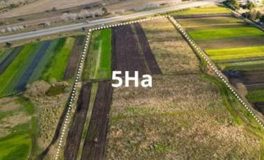 HECTAREAS(5)-SOBRE RUTA 88