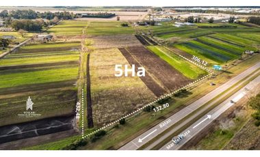 HECTAREAS(5)-SOBRE RUTA 88
