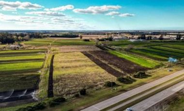 HECTAREAS(5)-SOBRE RUTA 88
