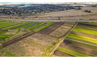 HECTAREAS(5)-SOBRE RUTA 88